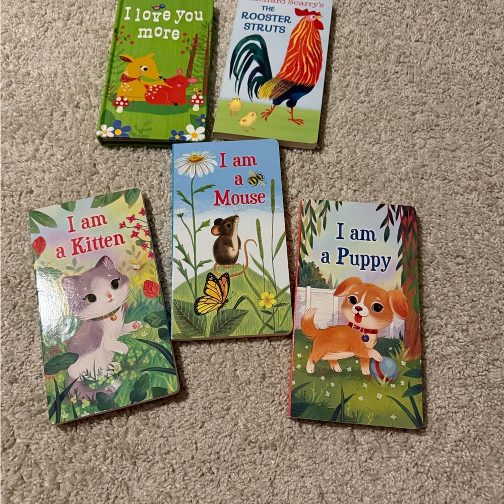 Colorful Board Books